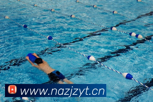 开云综合app官网登录平台生态图